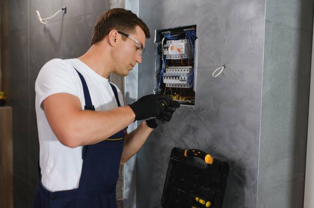 Best Local Electrician Companies  in Allison, IA